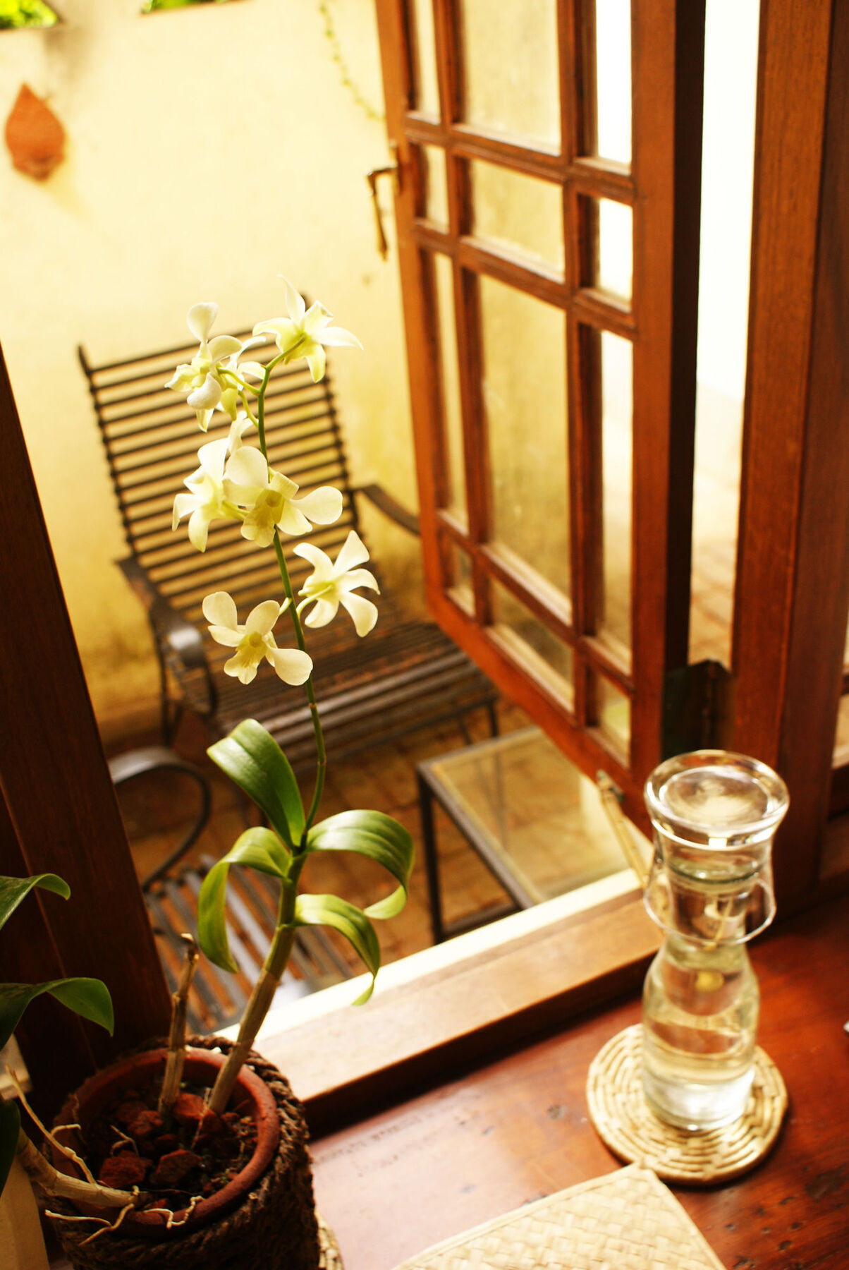 The Havelock Place Bungalow Kolombo Dış mekan fotoğraf
